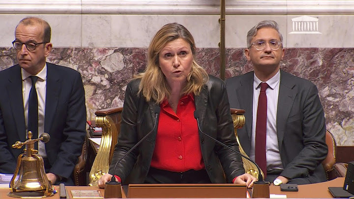 Motion de censure adoptée à l'Assemblée nationale | AFP Extrait