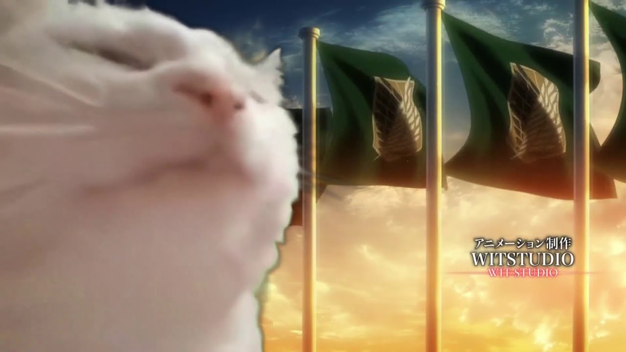 Cat Vibing To Attack On Titan - Sasageyo! - Youtube
