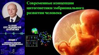 И.Н. Лебедев - Курс медицинской цитогенетики. Лекция3