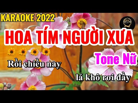 Karaoke Phú Nhuận - Karaoke Hoa Tím Người Xưa Tone Nữ Nhạc Sống | Phú Nhuận Organ