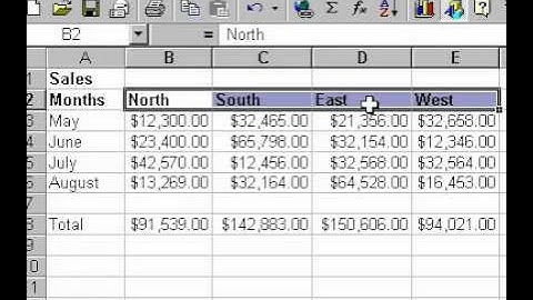 Microsoft Office Excel 2000 Aligning data