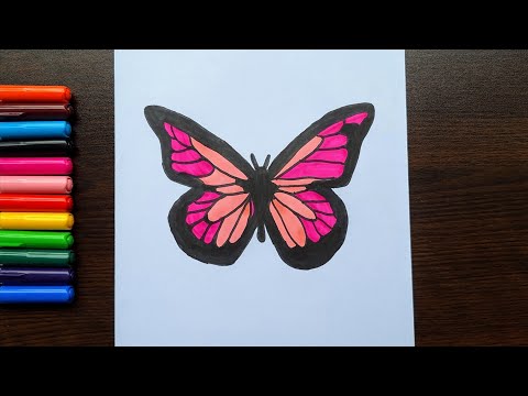 Colorful Butterfly Drawing