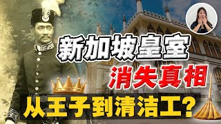 揭秘: 新加坡皇室从辉煌到绝望‼️剩70位后裔💰财产被充公, 后裔靠补助金生活⁉️