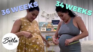 Bella Baby Watch: Nikki and Brie MEASURE their BELLIES TOGETHER