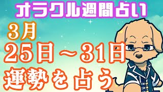 【週間占い】25日～31日の運勢を占います！/ オラクルカード第41回【ケモノVtuber/星戌セン/ #オラクルカード #占い】