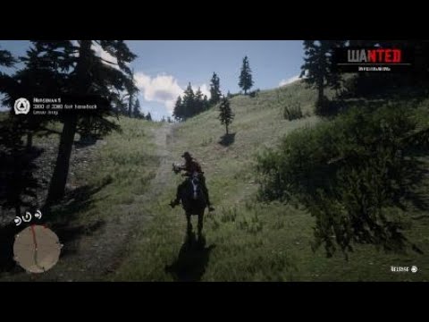 Lager trække Acquiesce Red Dead Redemption 2 Horseman Challenge #4 - YouTube