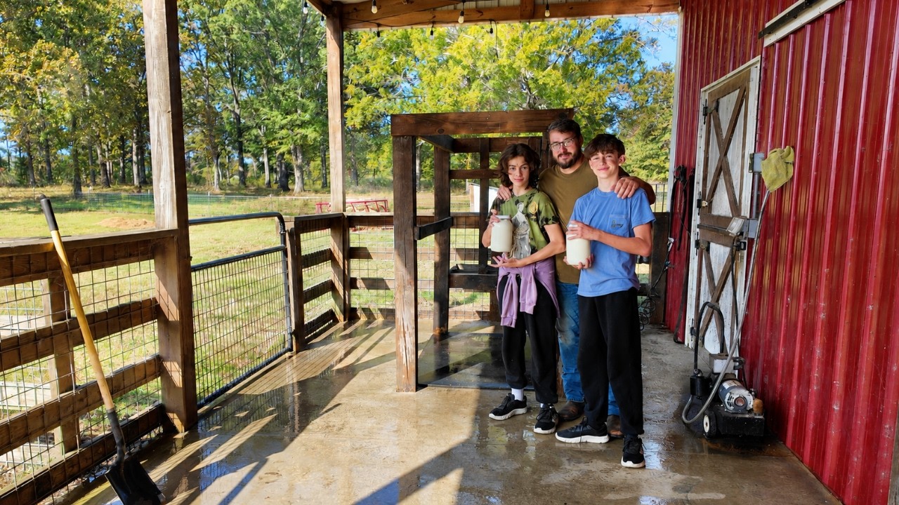 Training the next generation of homestead milkers.