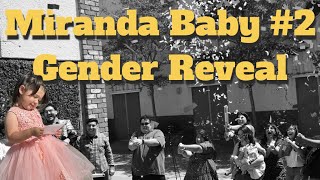 Miranda Baby #2 Gender Reveal