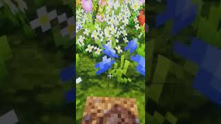 Flower World in Minecraft: Beautiful or Dangerous? 🌻✨ #minecraft