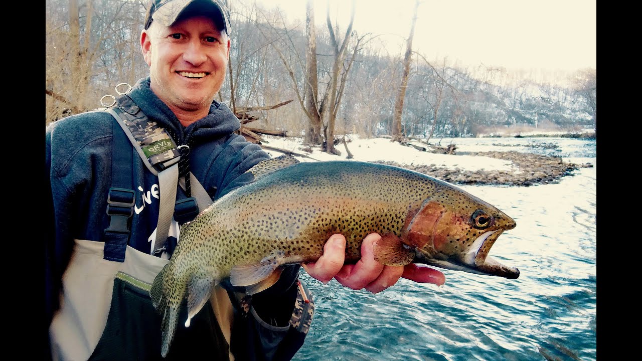 NEW 2016 Central PA Rainbow Trout Underwater GoPro Release Bonanza