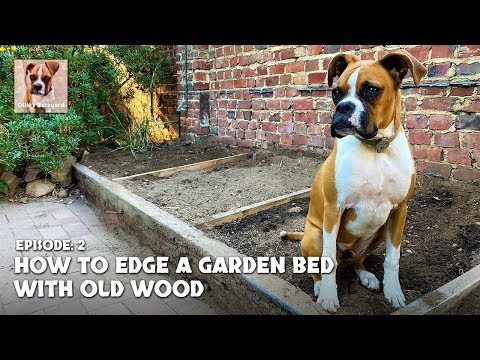 How to Edge a Garden Bed with Old Wood - Ollie's Backyard