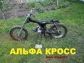 Альфа кросс-эндуро или большой питбайк