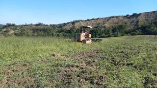 Lavorazione terreno con dischi e Fiat 120c