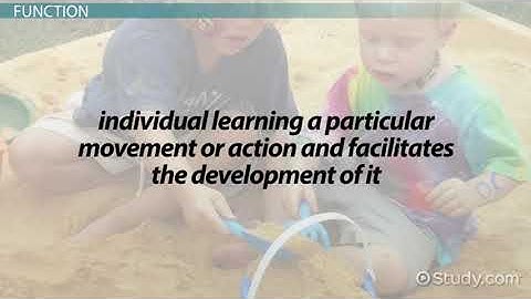 Cerebellum Definition Function Video Lesson Transcript Study com