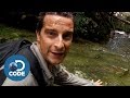 Bear Grylls in Borneo Jungle | Man vs Wild (5/6)