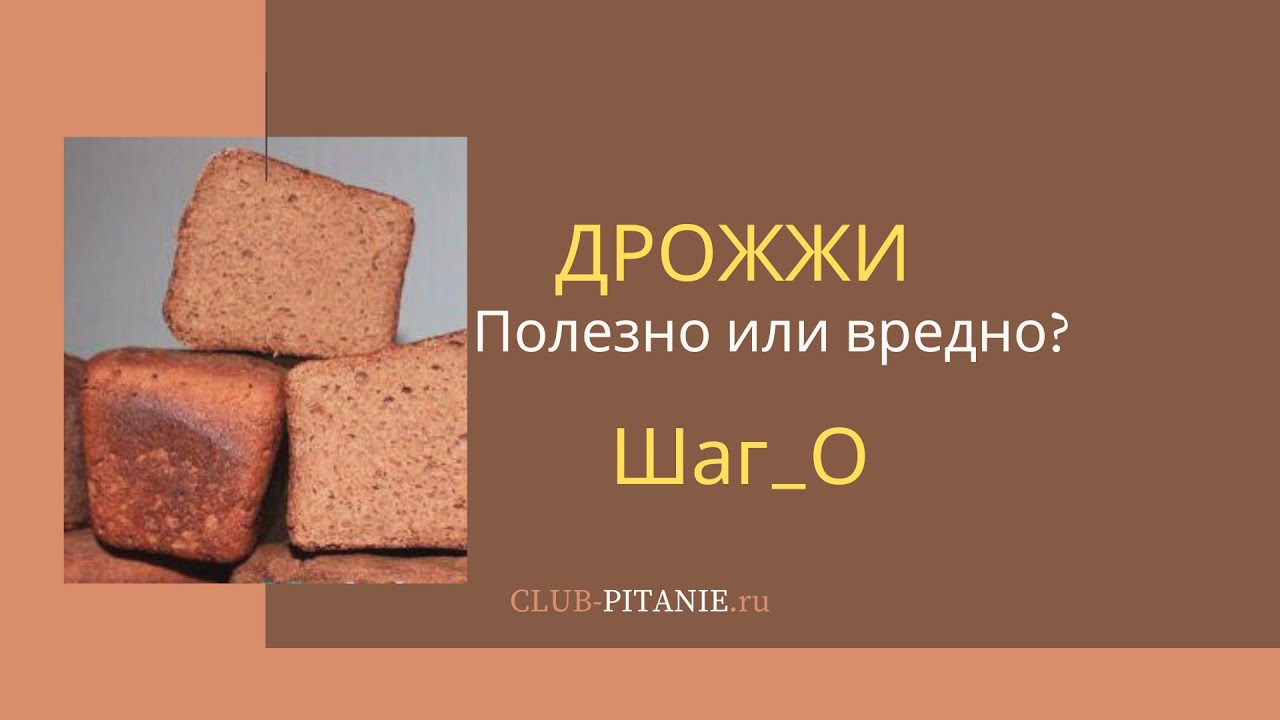 Сколько закваски нужно для выпечки хлеба. Хлеб на закваске полезен или вреден. Полезнее дрожжевой или. Сколько закваски нужно для выпечки ржаного хлеба. Какие дрожжи полезнее