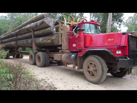 Mack log truck suriname