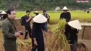 Các anh chị thi gặt tại Lễ hội Mùa lúa vàng xã Quỳnh Sơn huyện Bắc Sơn hay quá