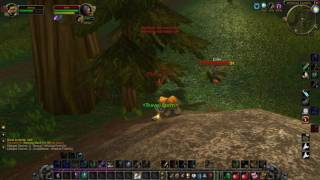 druid travel form usage