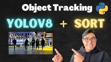 Trackeo de Objetos con Yolov8 y SORT | Object Tracking