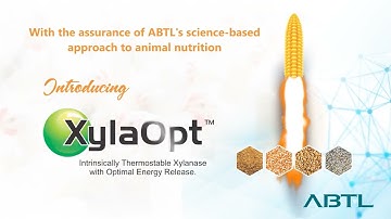 Introducing XylaOpt - Intrinsically Thermostable Xylanase with Optimal Energy Release.