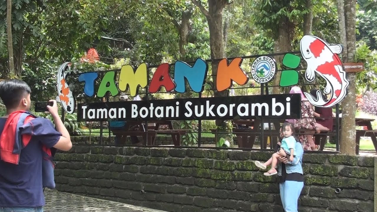 Wisata Taman Ikan Koi Jember YouTube