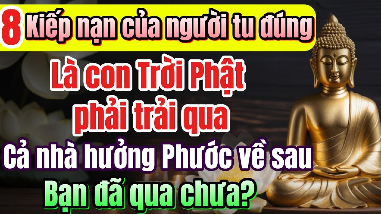 Outline Video Dấu hiệu bạn tu đúng, về sau chỉ hưởng phước phải trãi qua 8 dấu hiệu này | Quán Trà Đời