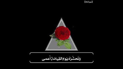 تلاوة عذبة للشيخ ماهر المعيقلي ما تيسر من سورة طه ❤️ .
