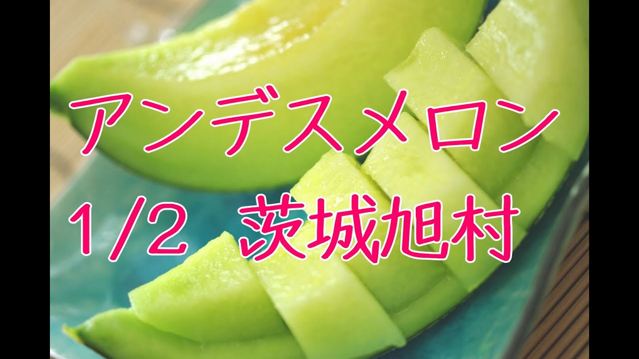 旭村アンデスメロンお取り寄せ販売 茨城産。糖度の見えるメロンを通販