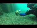 Port Huron Michigan Diving.  9/4/14