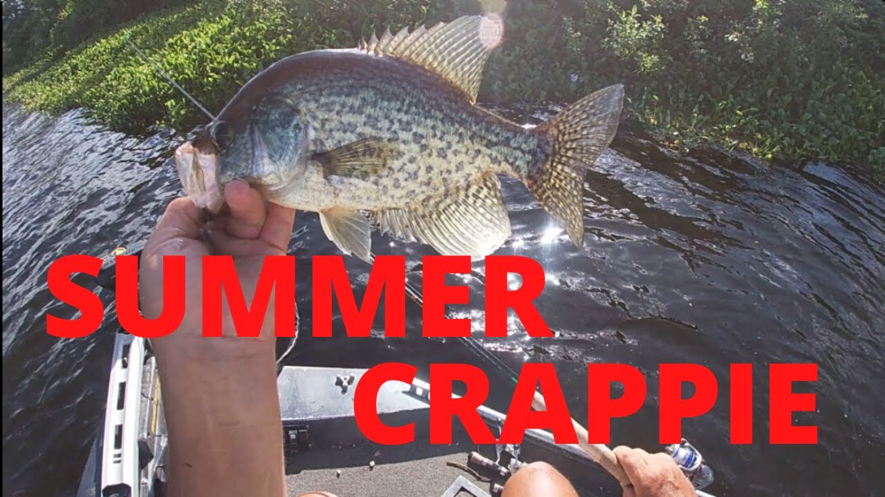 Successful Summer Crappie Fishing In Louisiana(Learn MY Technique UP CLOSE)  