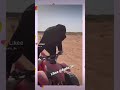 ن ن خ ن تنتنانلنفنفنبنلتبنبتنانفتتباح صق قص عش اش اص بپیچی بچینیم س ن ن خ ن تنتنانلنفنفنبنلتبنبتنانفتتباح صق قص عش اش اص بپیچی بچینیم س