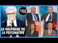 Le naufrage de la psychiatrie  ces ides qui gouvernent le monde