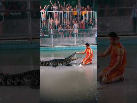 ⚡ 0,05 сек у крокодила vs 0,25 у человека! 🐊 Реагируй быстрее рефлекса! 🔥 #Крокодил #Рефлекс