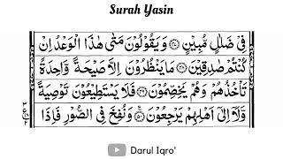 Surah YASIN 7x Murottal Al Quran Merdu Pengantar Tidur, Surah Yasin full teks arab !!