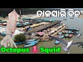 Talasari beach   seafood  boating  digha 