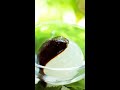 【科学料理】大根をプルプルに再構築してみました。新感覚ふろふき大根!/ ​​Daikon Jelly with Miso #shorts