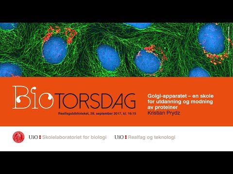 BIO-torsdag: Golgi-apparatet - en skole for utdanning og modning av proteiner