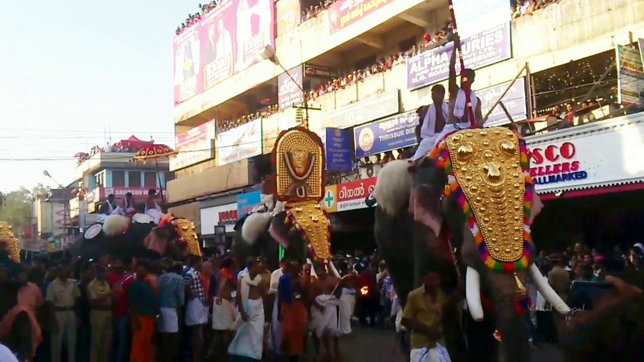 Puthupally kesaven old video  Thrissur pooram  Paramekkavu padmanabhan  Guruvayoor Nandhan
