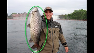 World Record Brook Trout Fishery - Day 1 Nipigon River Adventures