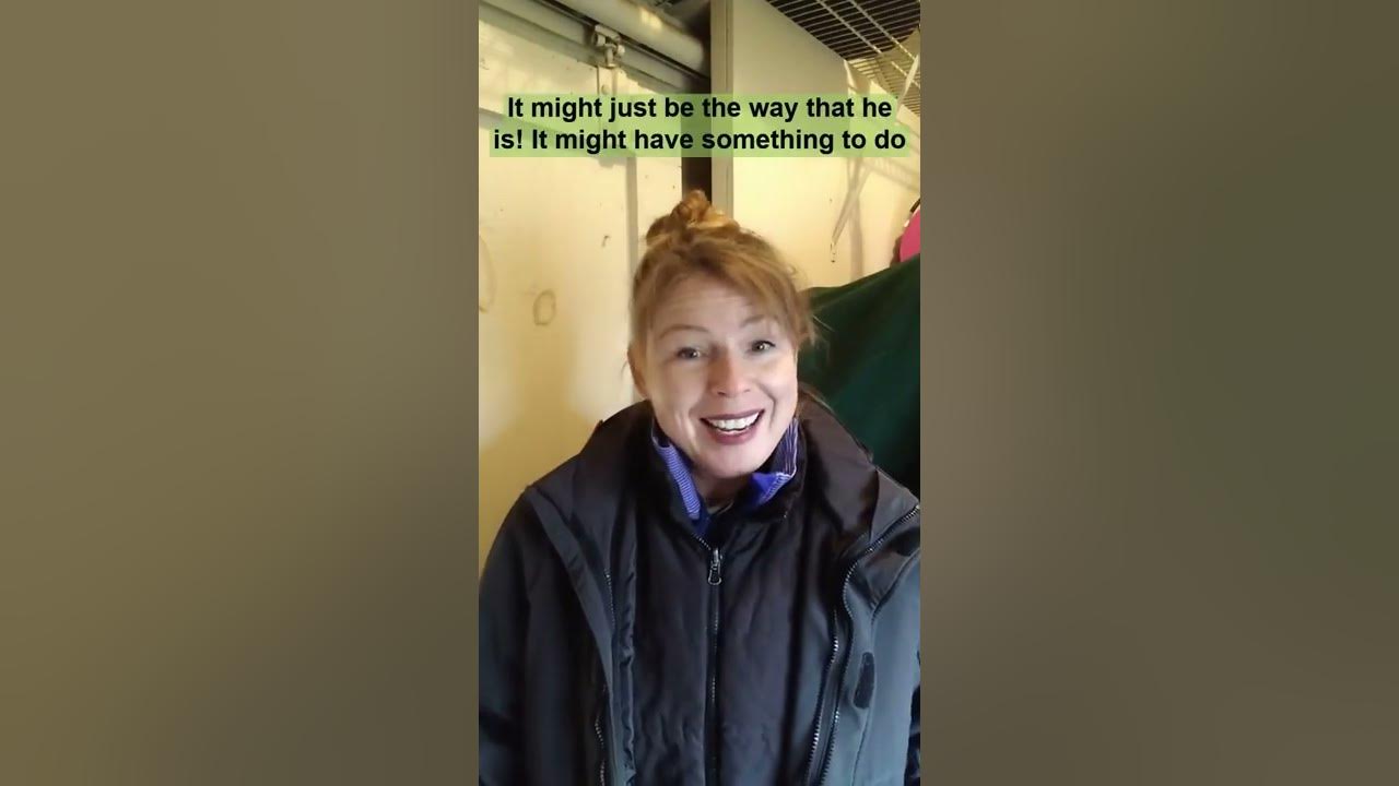 Causes of dandruff in horses skin and what to do about it. YouTube