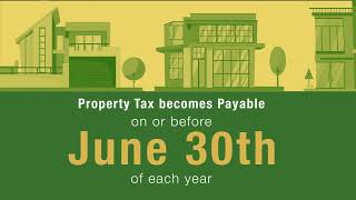 IRD Property Tax