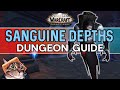 Sanguine Depths Mythic Dungeon Guide