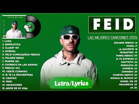 Feid Mix Exitos 2024 || LAS MEJORES CANCIONES DE FEID - Mix Reggaeton 2024 (Letra/Lyrics)