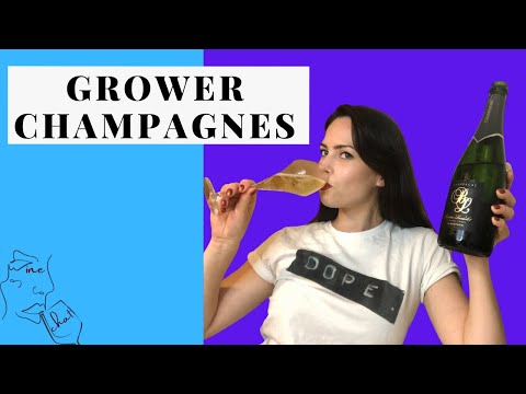 WINE CHAT - Grower Champagnes