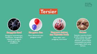 7 Fakta Penyakit Sifilis: Penyebab, Gejala, Pencegahan