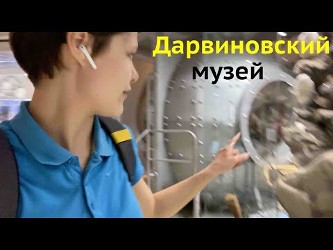 Дарвиновский музей Москва Обзор