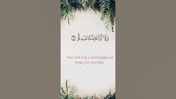 سورة الكافرون - أحمد بن طالب بن حميد l مترجم للغة الإنجليزية