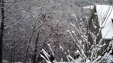 Syma X5C - Snow Crash 2-24-2015; Loud