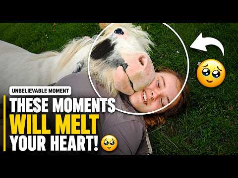 Heartwarming Animal Encounters That Will Melt Your Heart 🥹❤️
